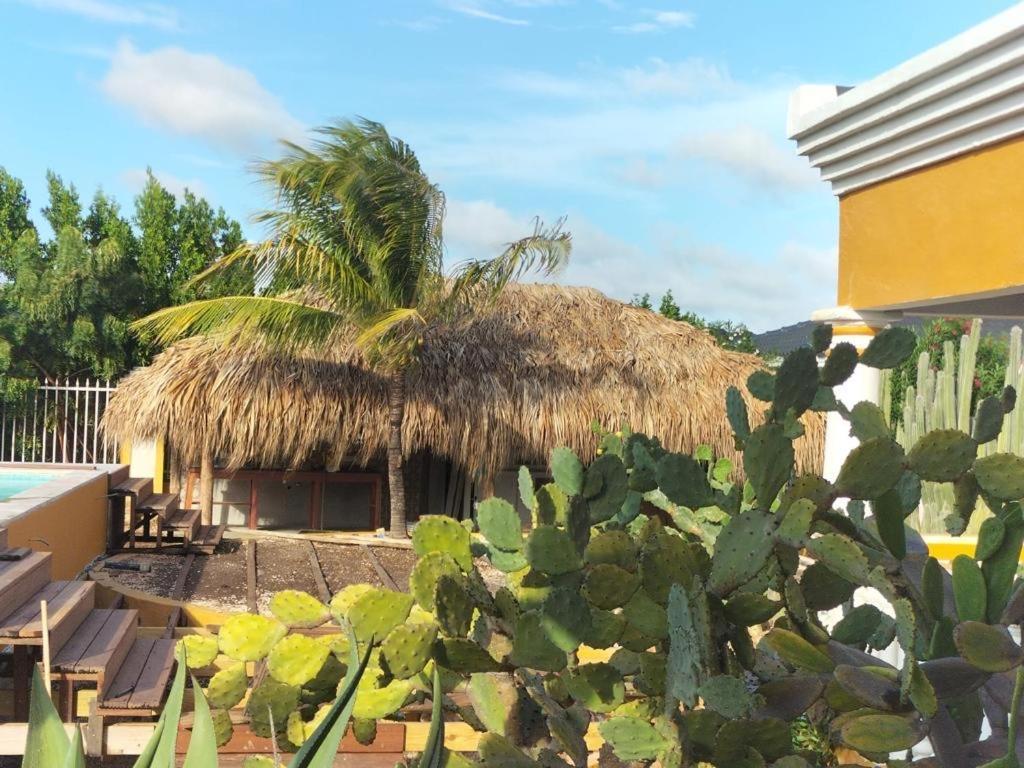 Landhuis Belnem Bonaire Playa Esterno foto